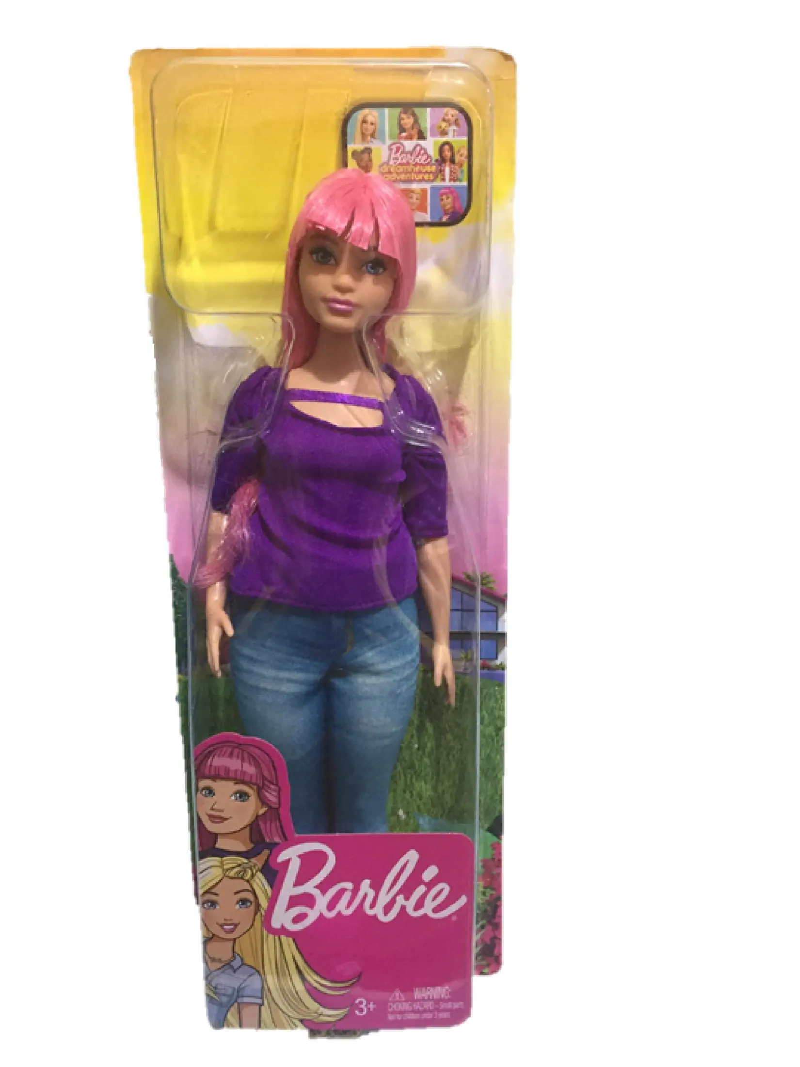 Barbie DREAMHOUSE Adventures Daisy CURVY Doll with Travel 887961683790