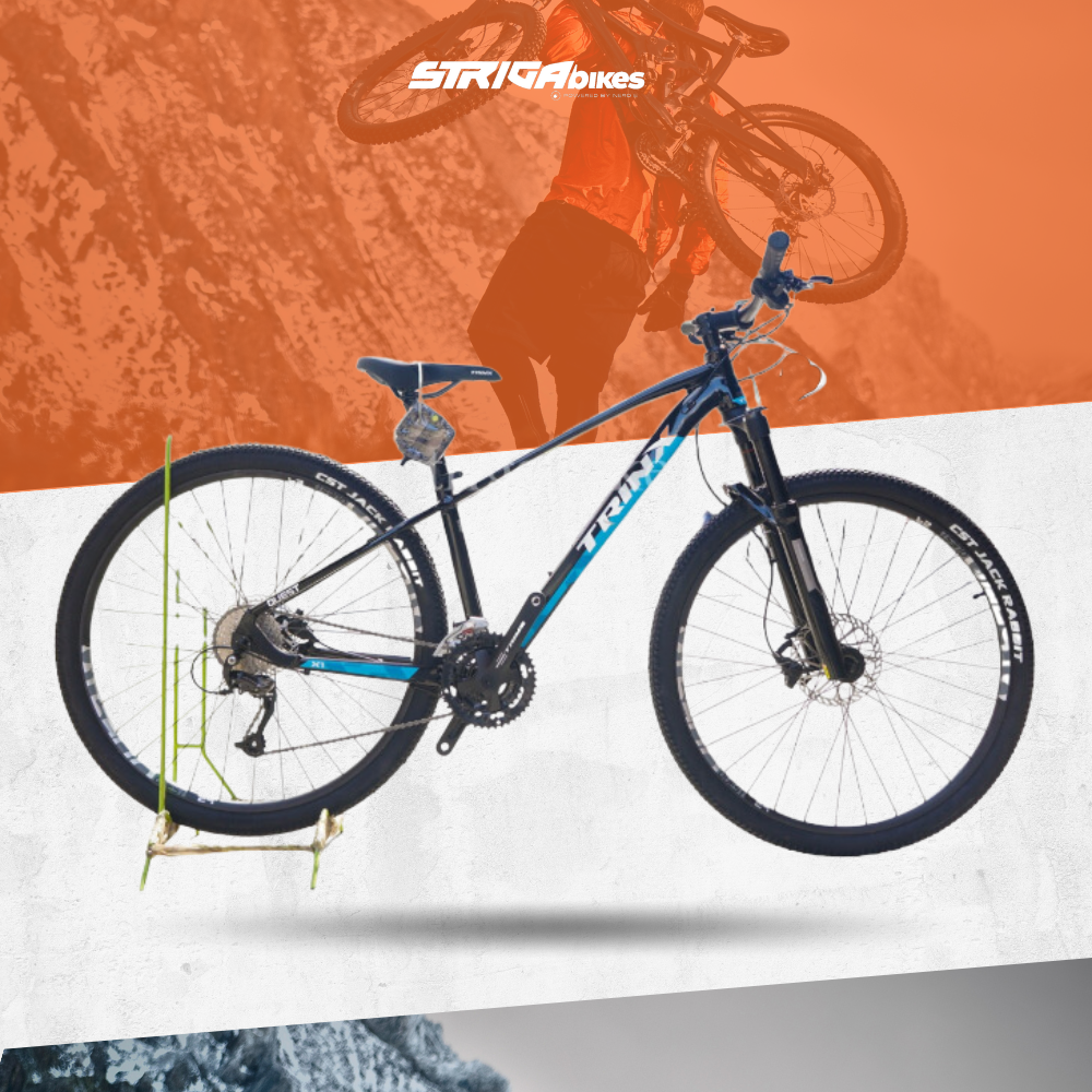 trinx 29er for sale