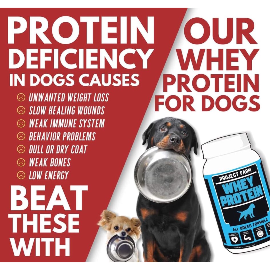 What Causes Protein Deficiency In Dogs