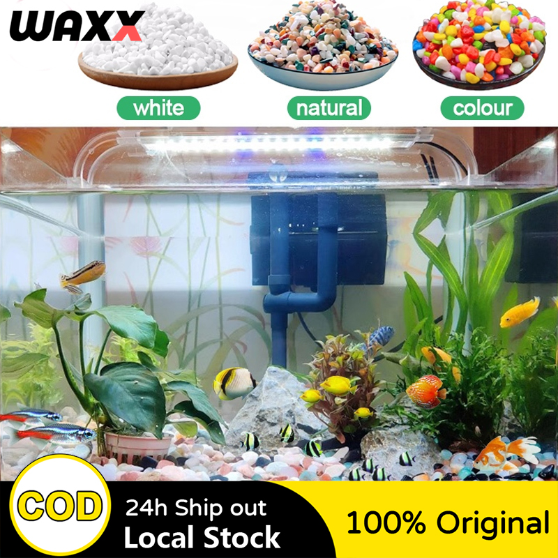 Colorful Natural Pebbles for Aquarium Decoration - Selected Stones