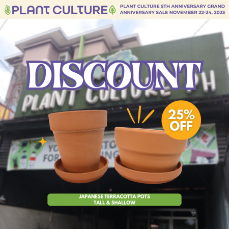 Smooth Japanese Terracotta Planters | Clay Pots