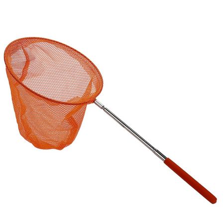 Telescopic Butterfly Net by [Brand Name, if available]