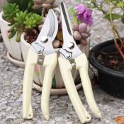 Mas Shop Stainless Steel Pruning Shears - High Quality Gardening Tool
