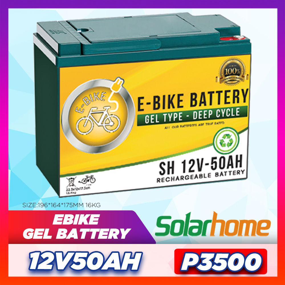 battery ng ebike