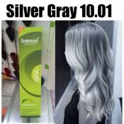 bremod haircolourant silver gray 10/01