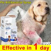 Pet Derm Relief: Anti-fungal Spray for Dog Skin Ailments