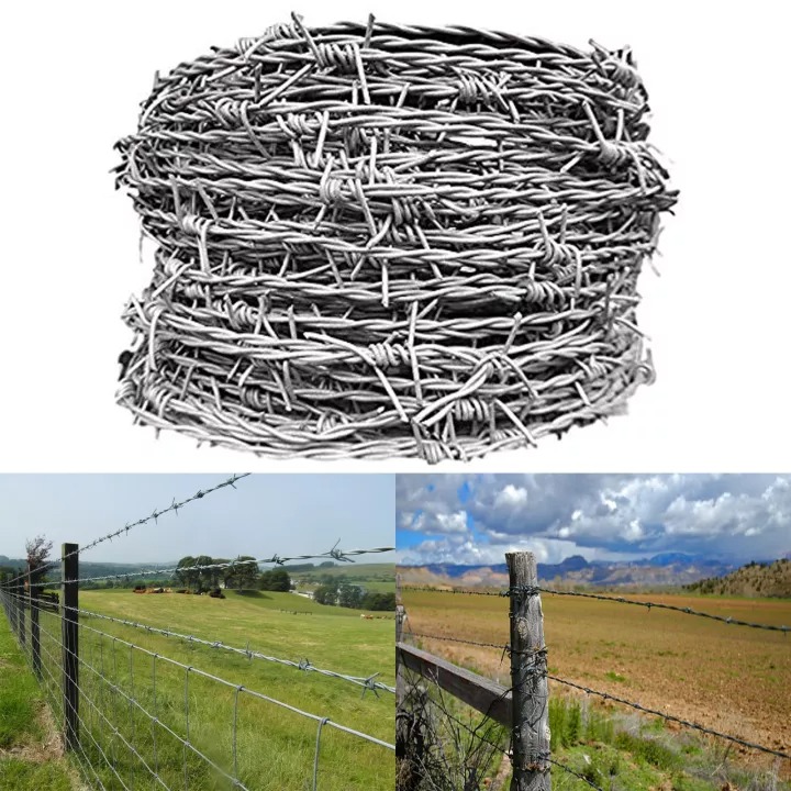 SharpGuard Barbed Fence - Anti-Climb Galvanized Steel Wire Protection