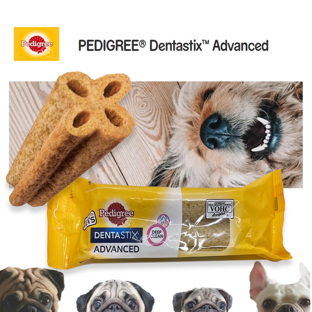 dentastix pug