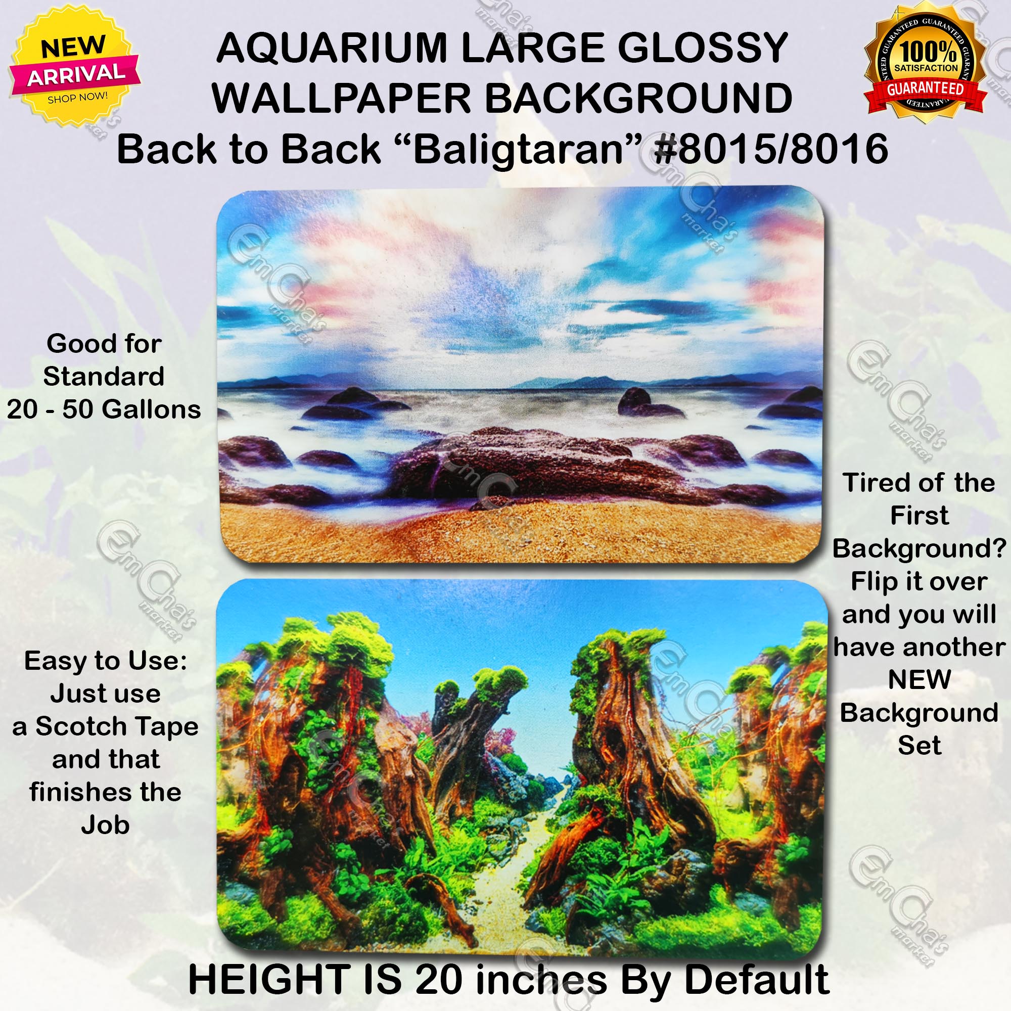 900+ Aquarium Background Images: Download HD Backgrounds on Unsplash
