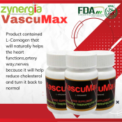 Zynergia Vascumax  250mg/30 caps/Bottle  GodsFavorBoutique