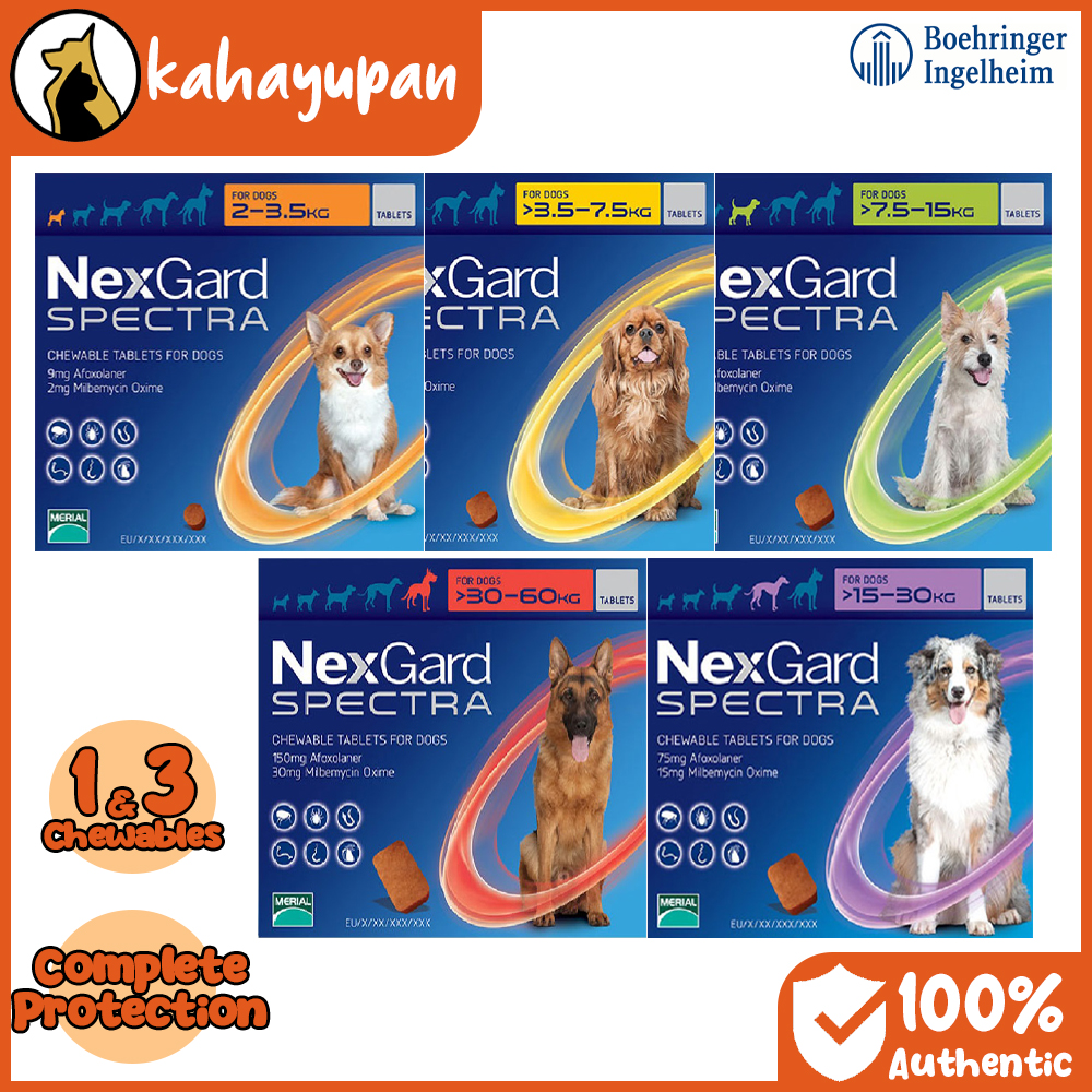 Nexgard Spectra Chewables: Protects dogs from ticks, fleas, worms