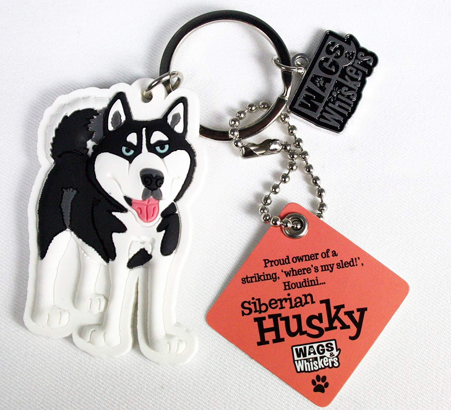 Wags and Whiskers Key Chain with Keyring/Key Holder Dogs Cats