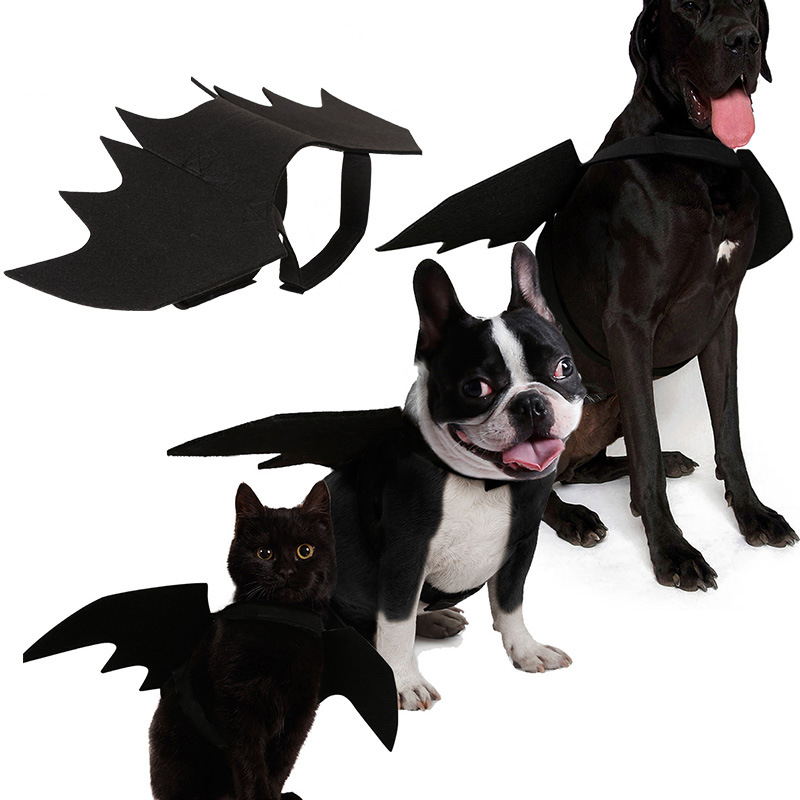 Toothless Dragon Dog Costume