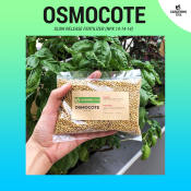 Osmocote Slow Release Fertilizer - For Gardening