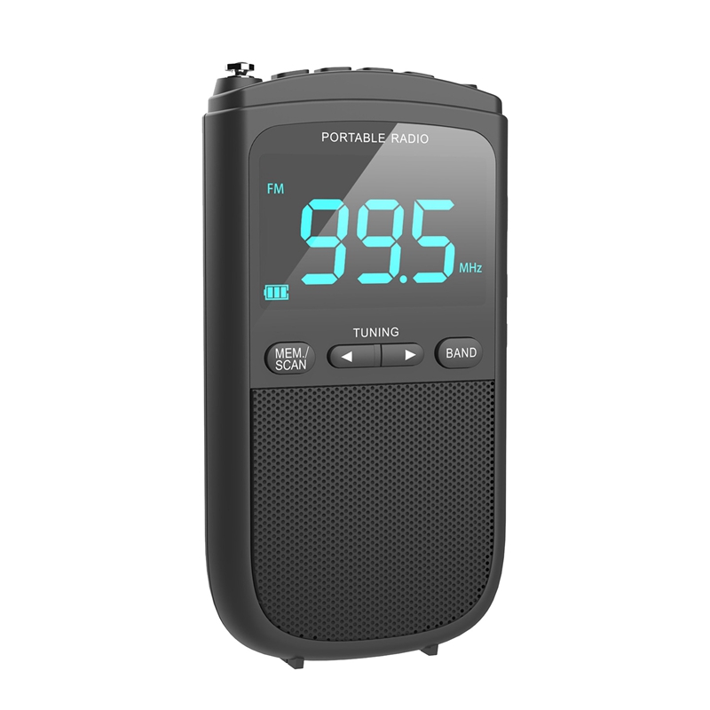 Shop Am Fm Radio With Lcd online