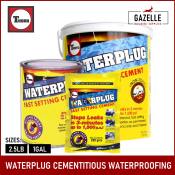 Waterplug Fast Setting Waterproof Cement - 2.5LB