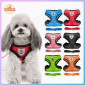 Adjustable Mesh Pet Leash Set by Pet New Land