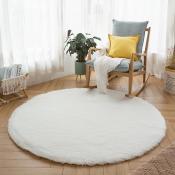 TopPillow Shaggy Rug Carpet for Living Room Bedroom Kids