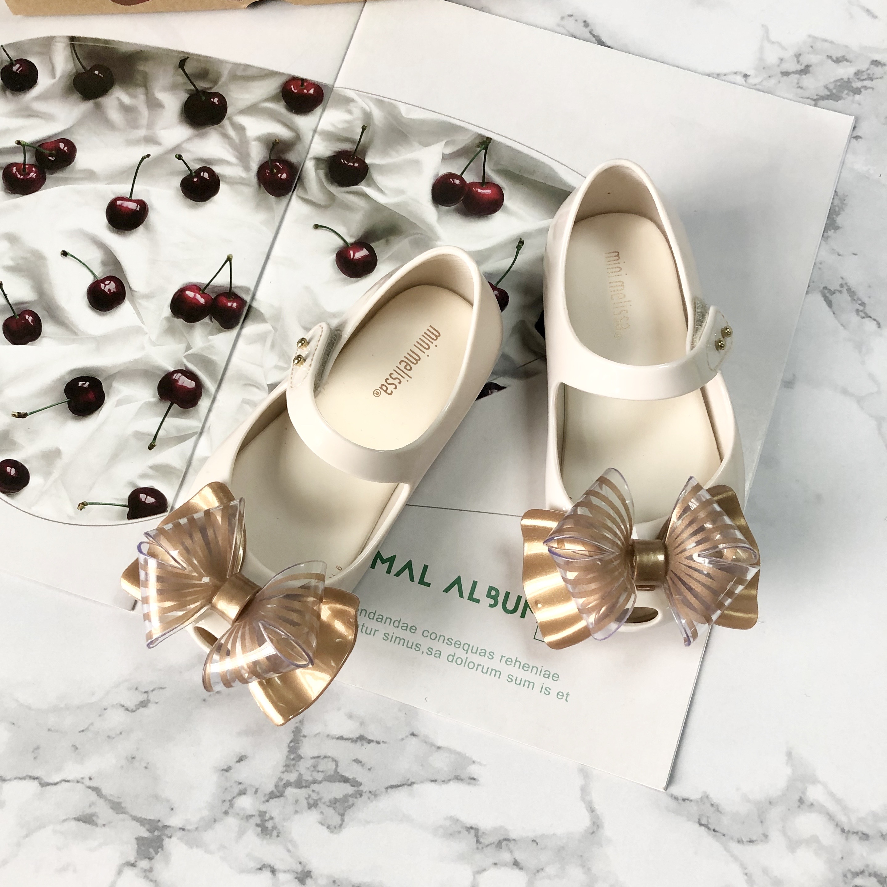 melissa transparent shoes