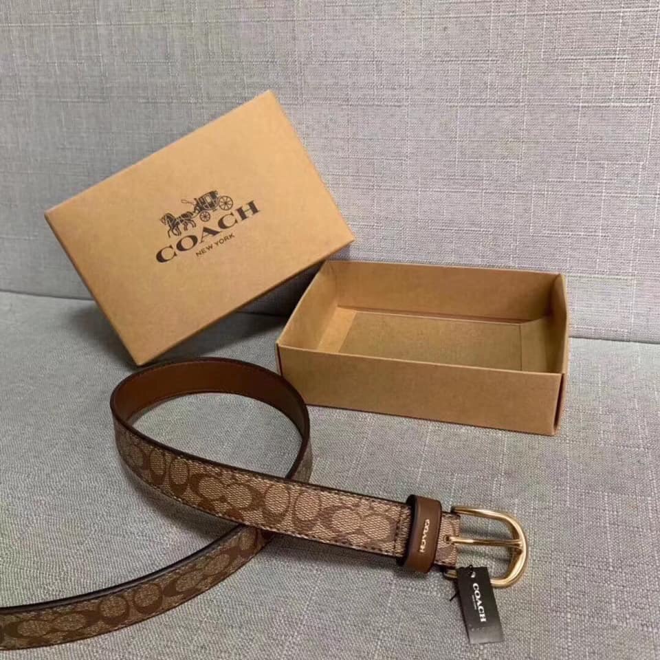 coach classic belt in signature canvas