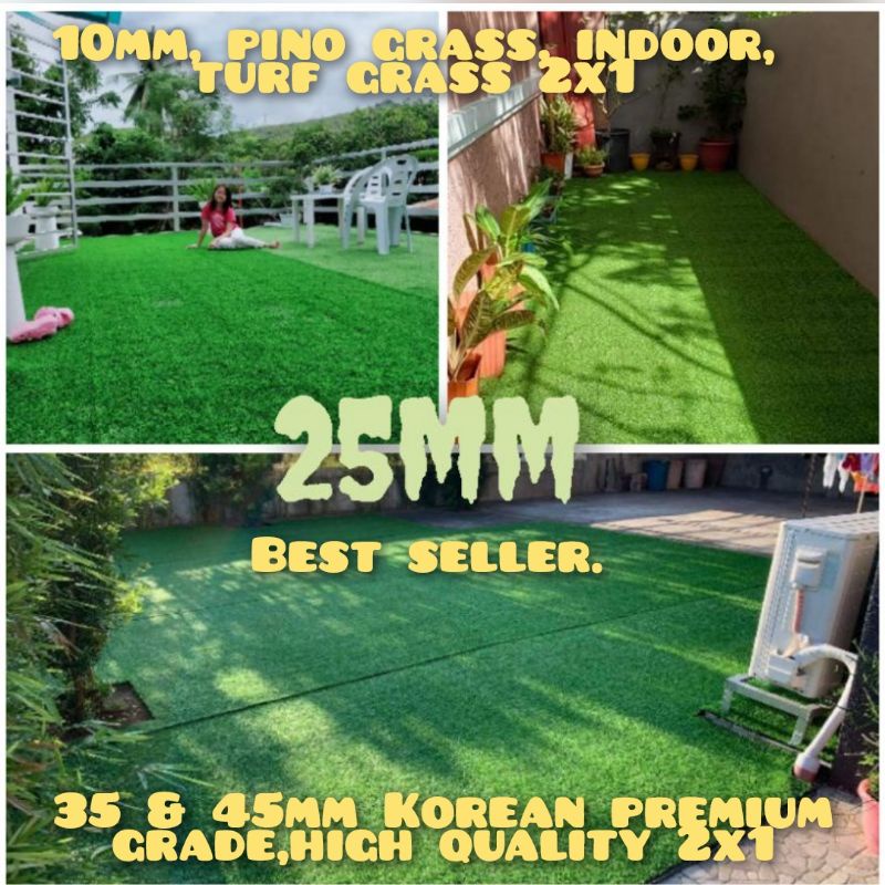 Korean Carpet Grass