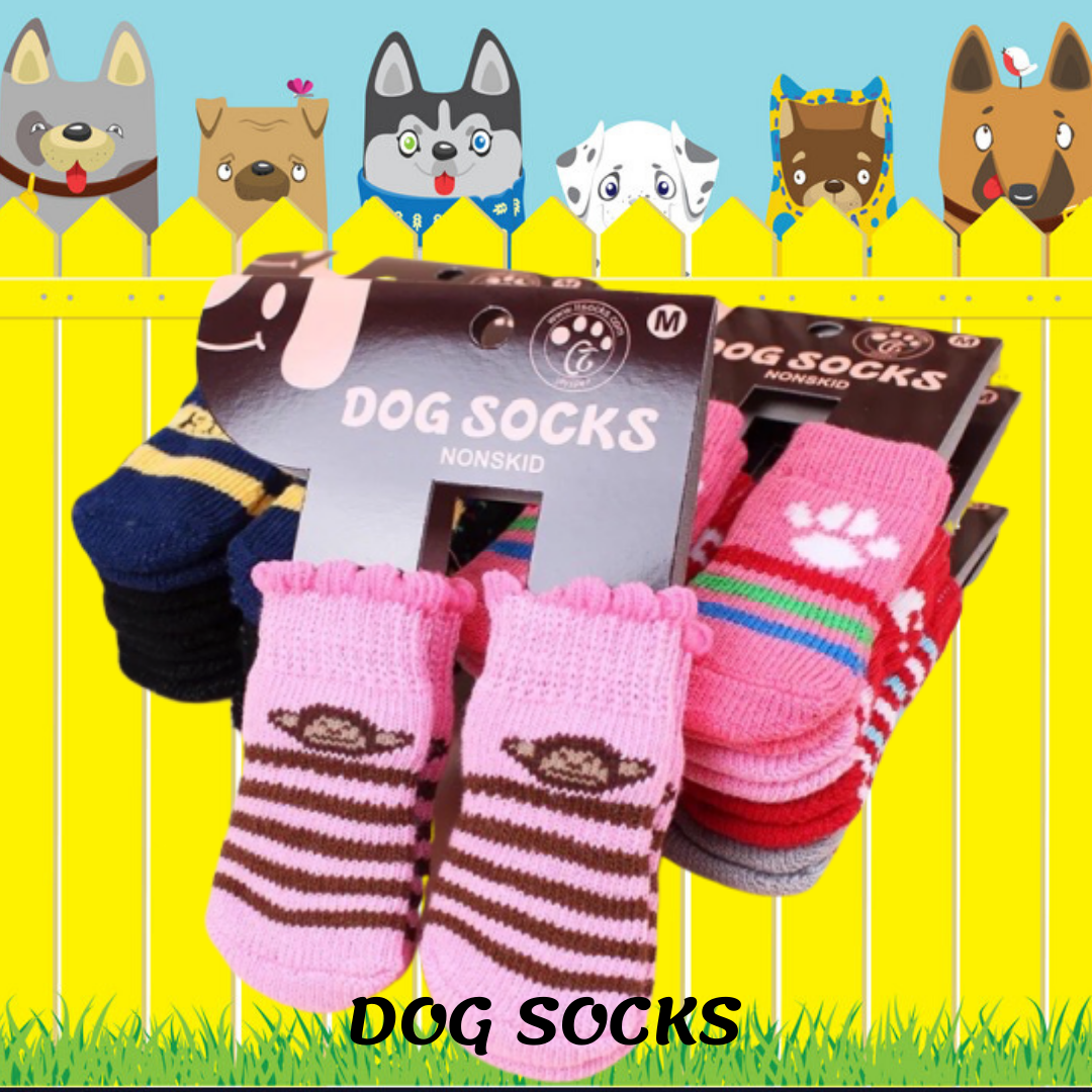 dog socks for sale