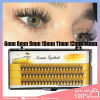 Nesura False Eyelashes 60pcs Individual, Natural Grafting Tools