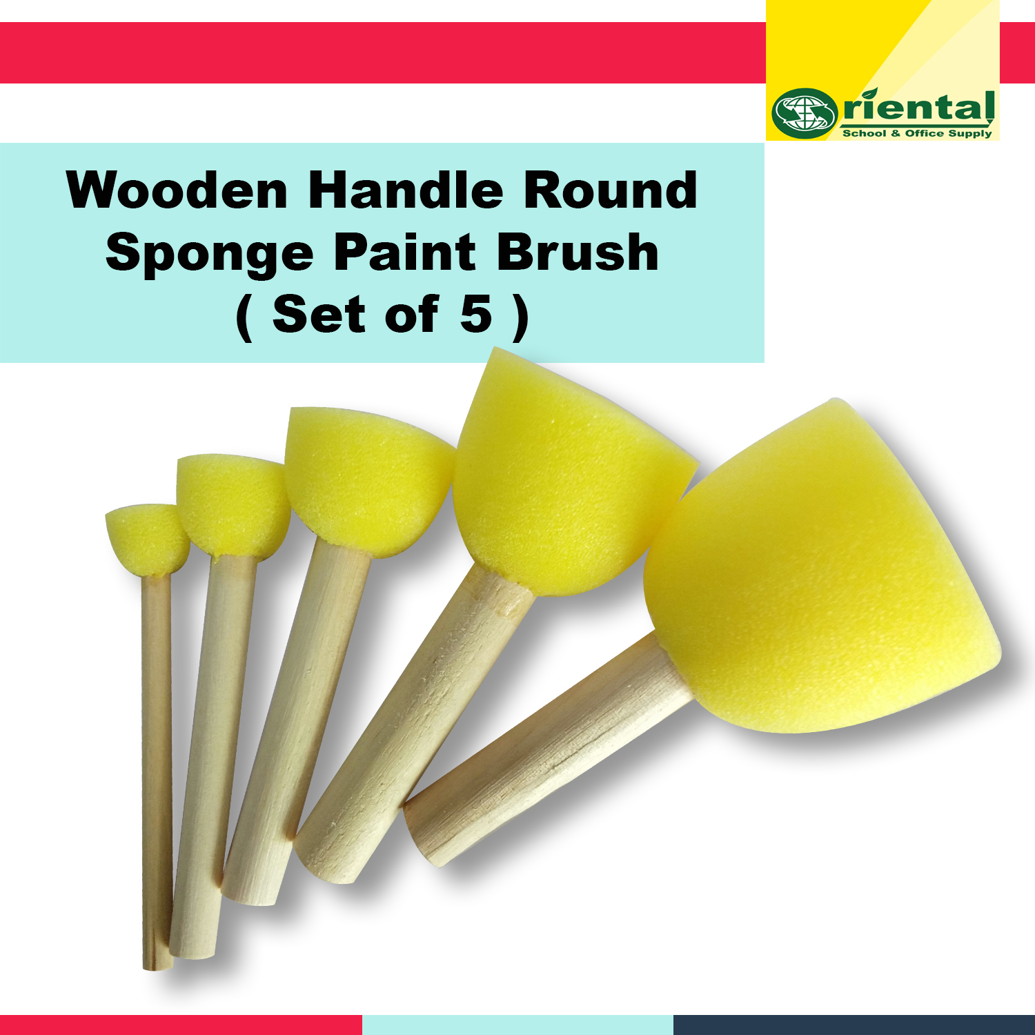 Round Paint Foam Sponge Brush Various Shaped and Sized, Watercolor Sponges  for Painting, Craft