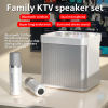 Wireless Karaoke Speaker with Dual Microphone and Bluetooth