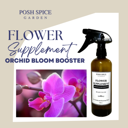 Orchid Bloom Booster Spray by Posh Spice