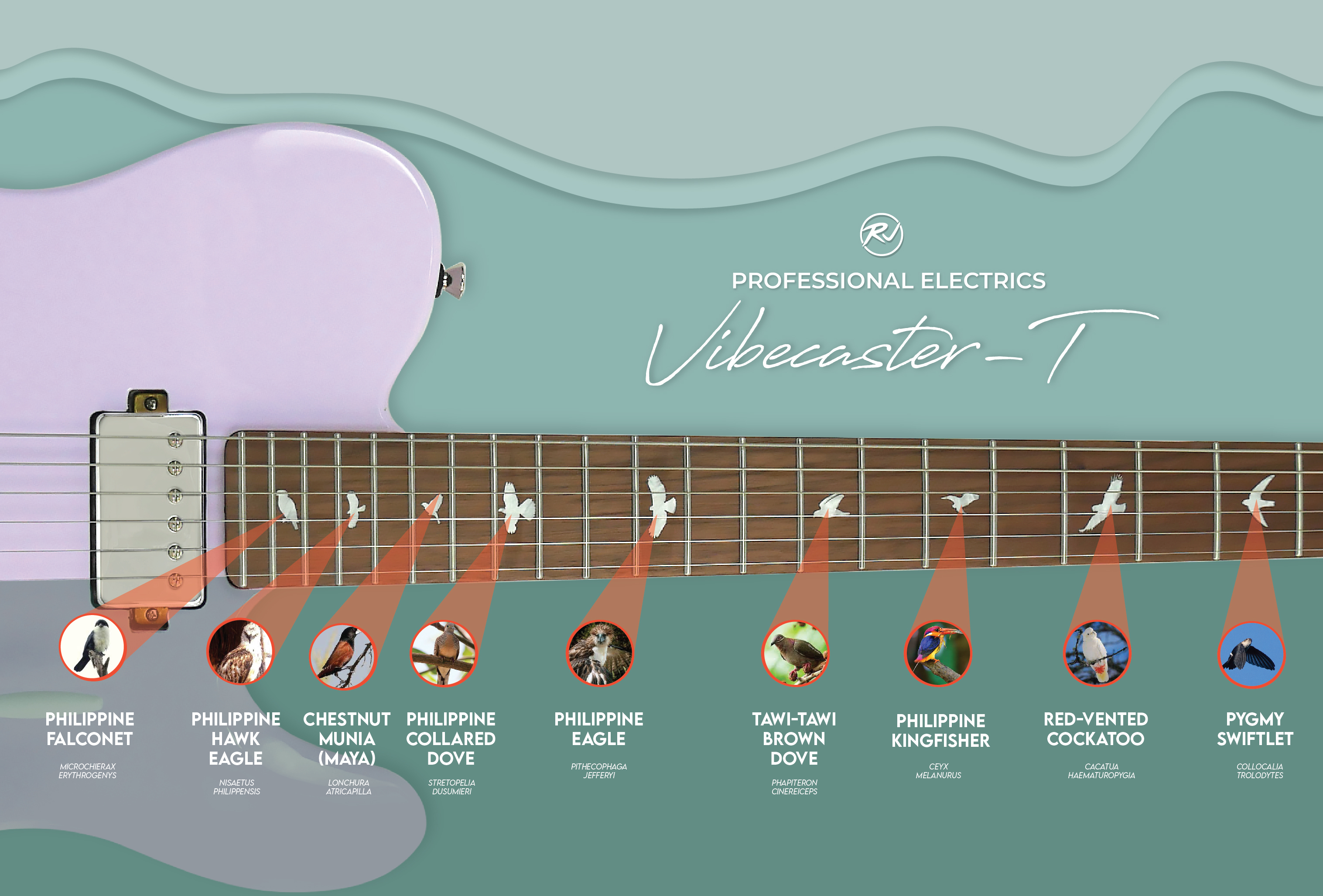 RJ Professional Electrics Vibecaster T (T-Style Body) - Lazada