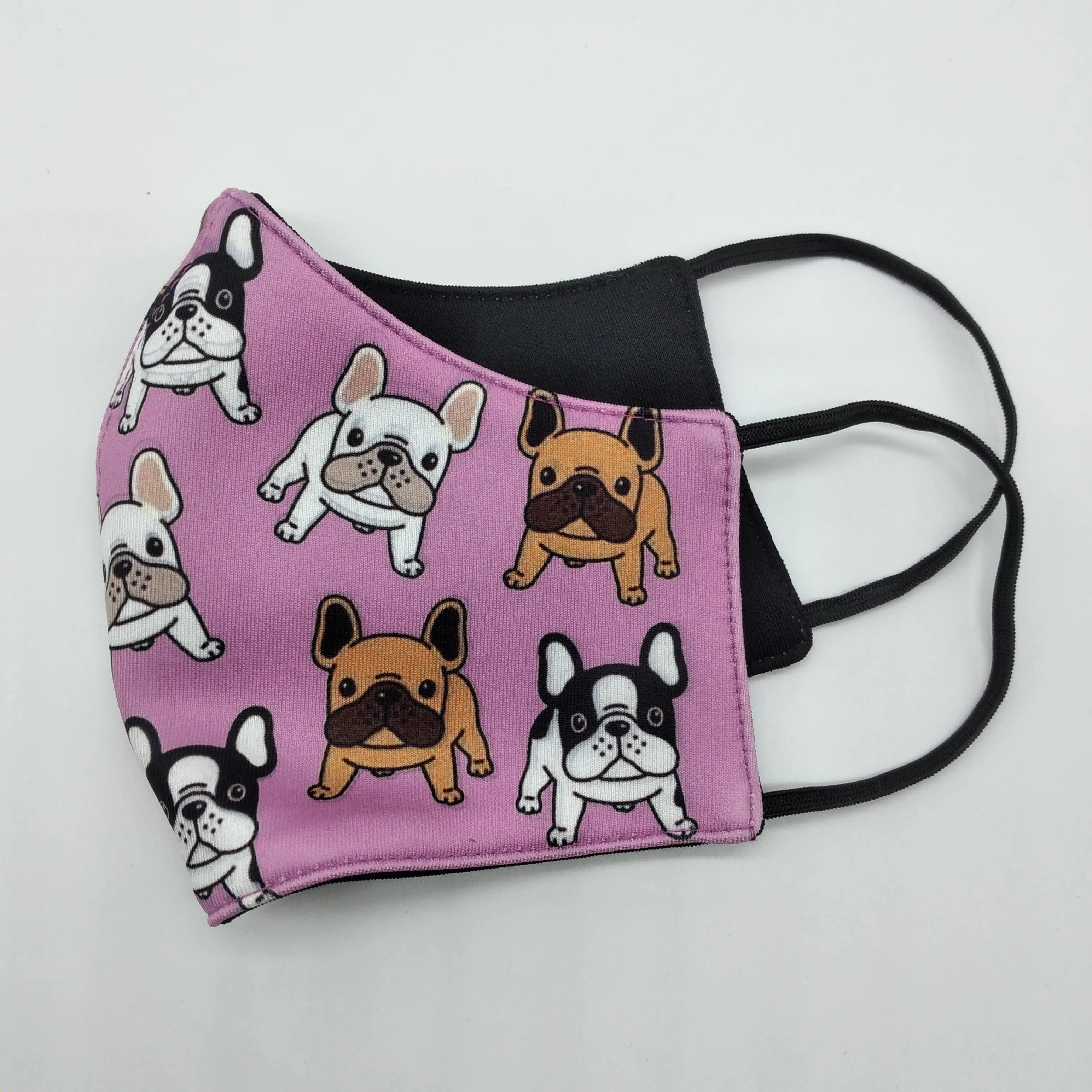 boston terrier dogs for sale