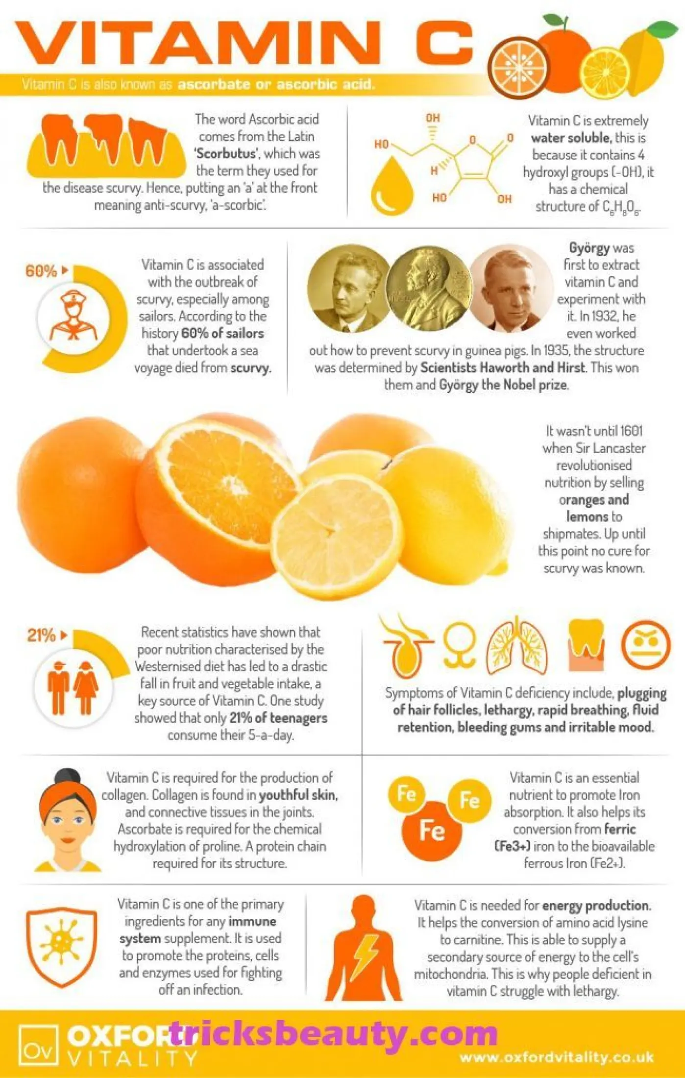 Kirkland Vitamin C 1000mg Lazada Ph Kirkland Vitamin C 1000mg Lazada Ph