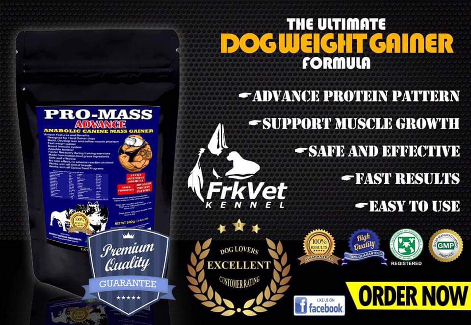 Pro mass 2025 gainer for dogs