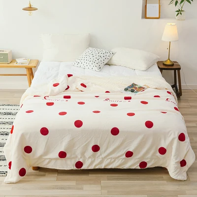 Mini Home Textiles Double Layers Smooth As Milk Blanket Throw Plush Warm Sleeping Blanket for Autumn Winter Blanket (10)