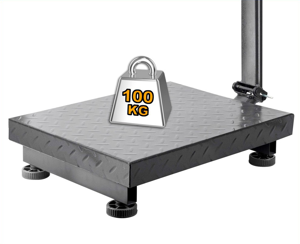 Ingco Electronic Scale 100kg HESA31003 with FREE 28in1 Screwdriver 