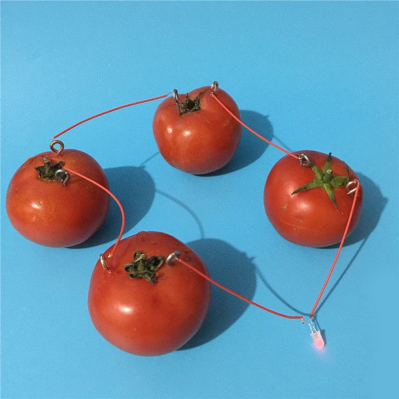 The experimental science magnetic generator battery creative fruit for