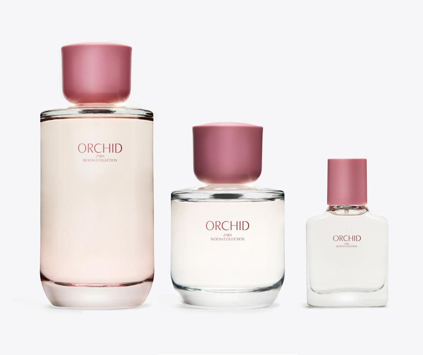 Shop Zara Perfumes Online at Lazada Philippines – Best Prices