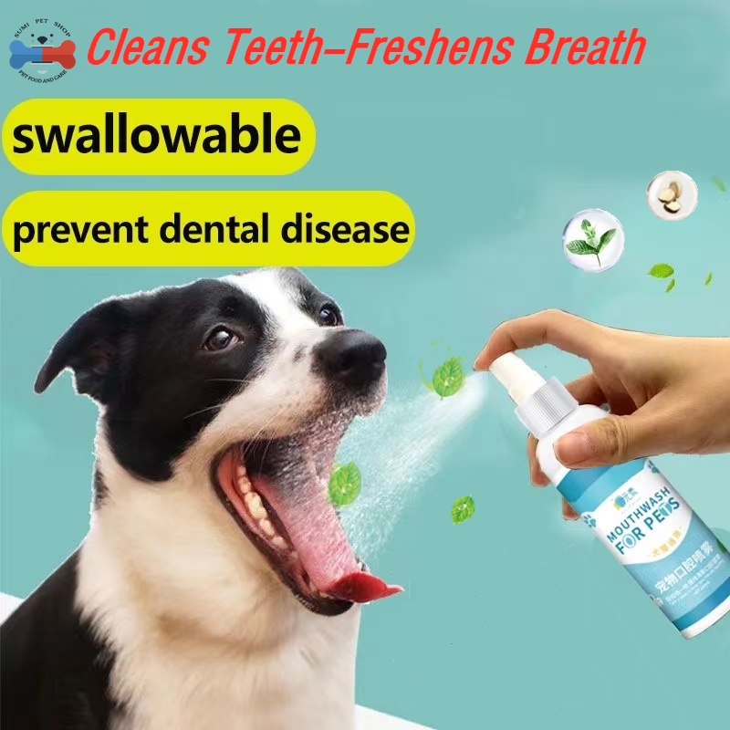 Are Dog Mouths Clean