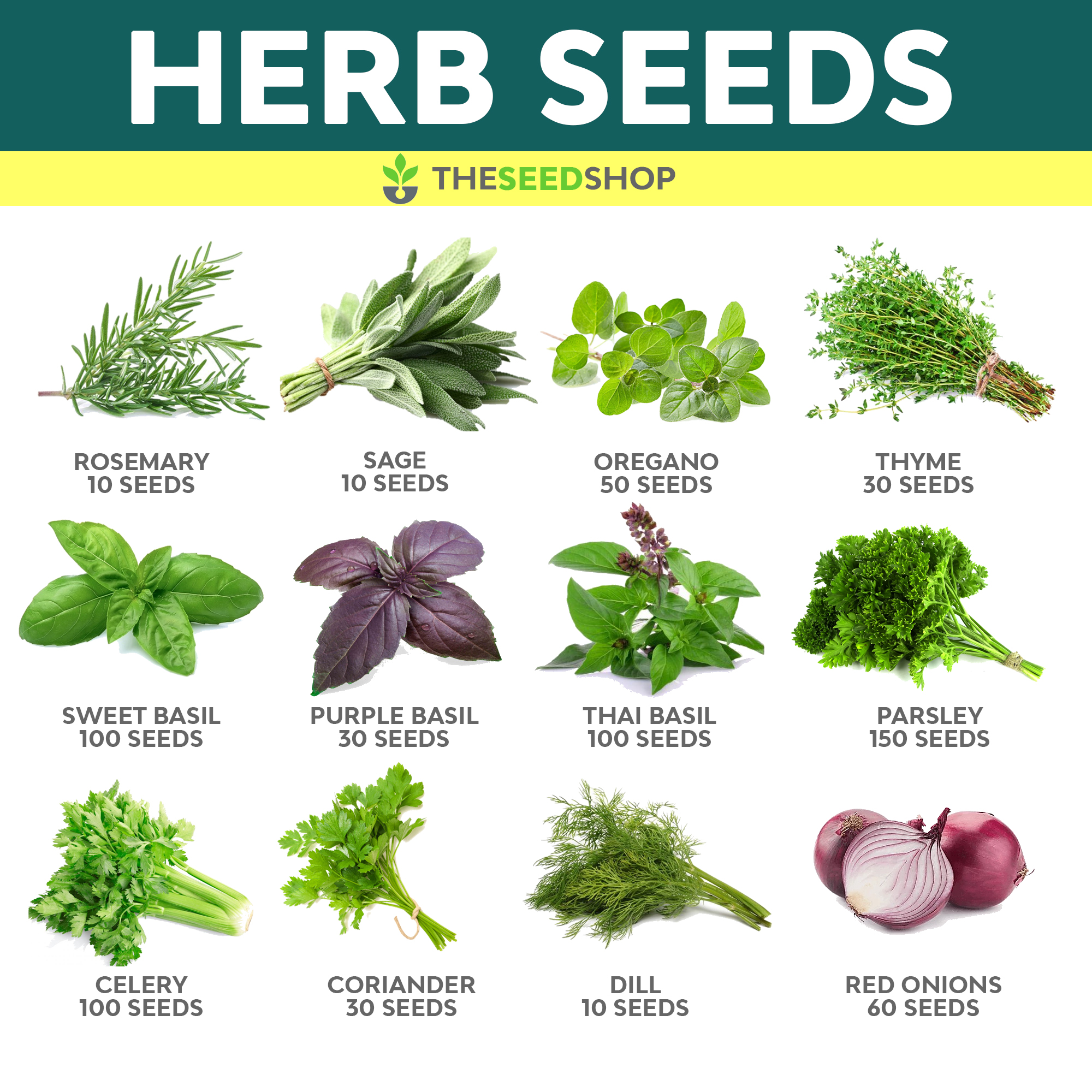 Herb Seeds Rosemary Sage Oregano Sweet Basil Parsley Onions