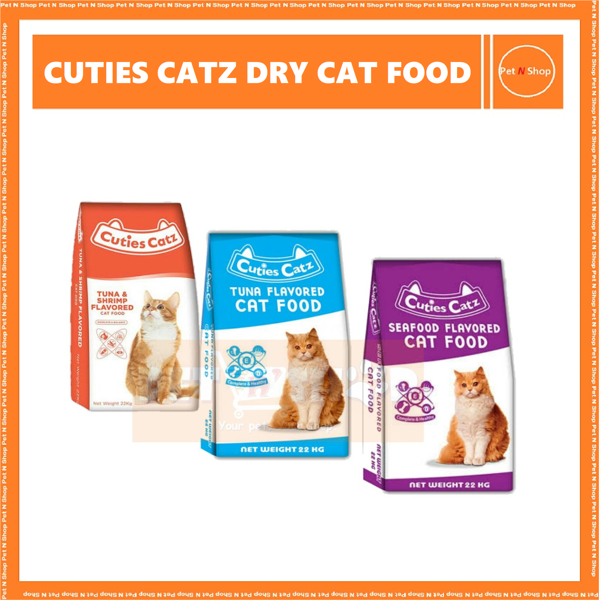 cuties cat food kitten