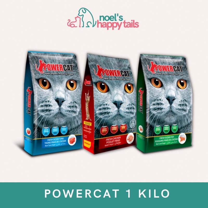 power cat chicken