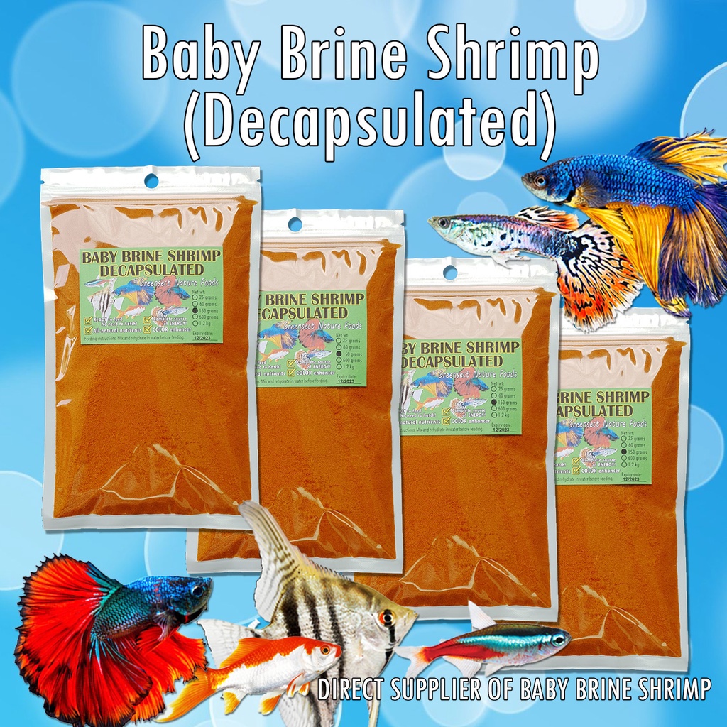 BABY BRINE SHRIMP DIRECT SUPPLIER Decapsulated 600 1.2kg fish