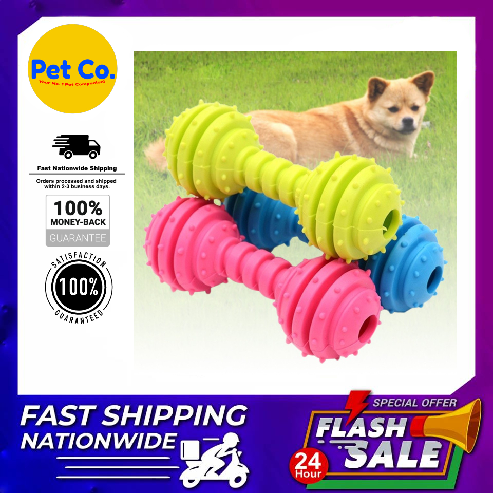 nationwide pet supplies