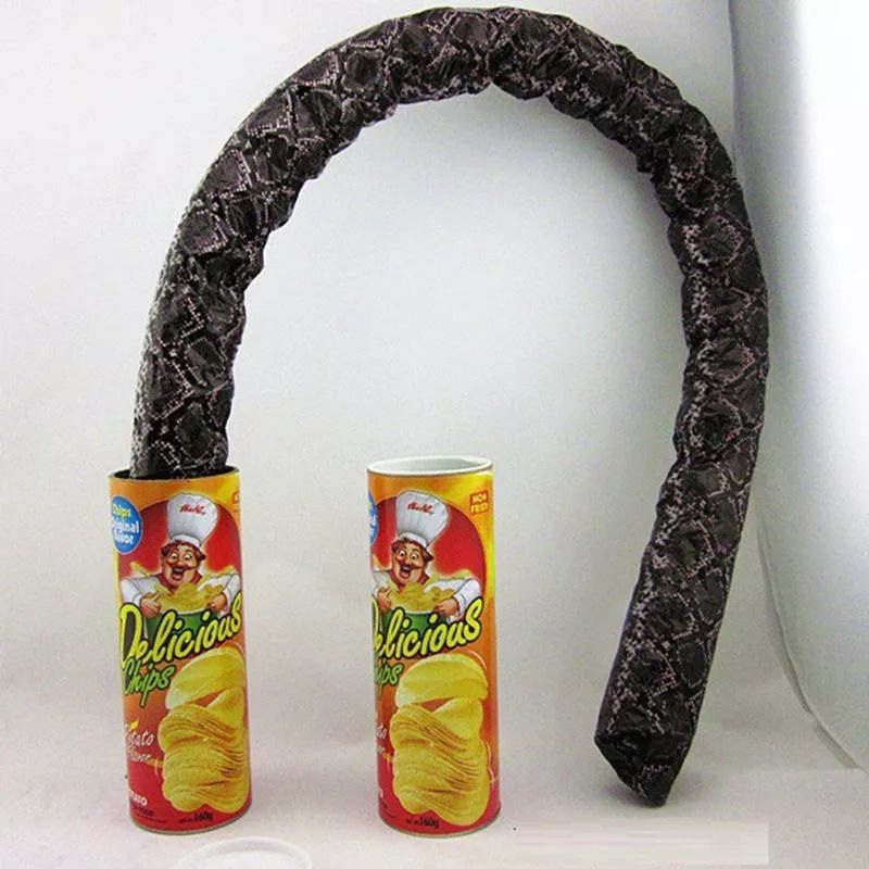 The FunFamz Original Snake in a Potato Chip Can Prank-Funny Classic Snake  in a Can Prank for Kids, Snake in a Can Trick Gag Gift Toy & Scary Shock