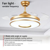 Luxury Ceiling Fan with Lights and Remote Control
