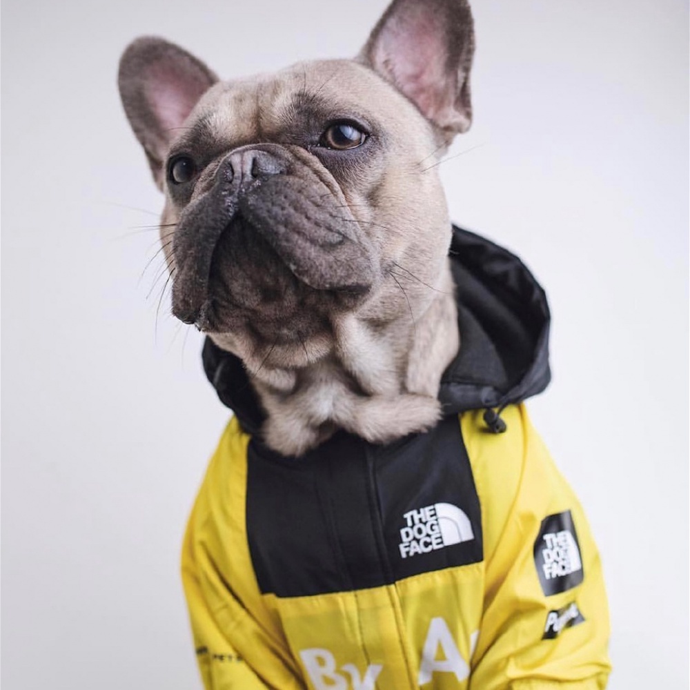 north face supreme dog jacket