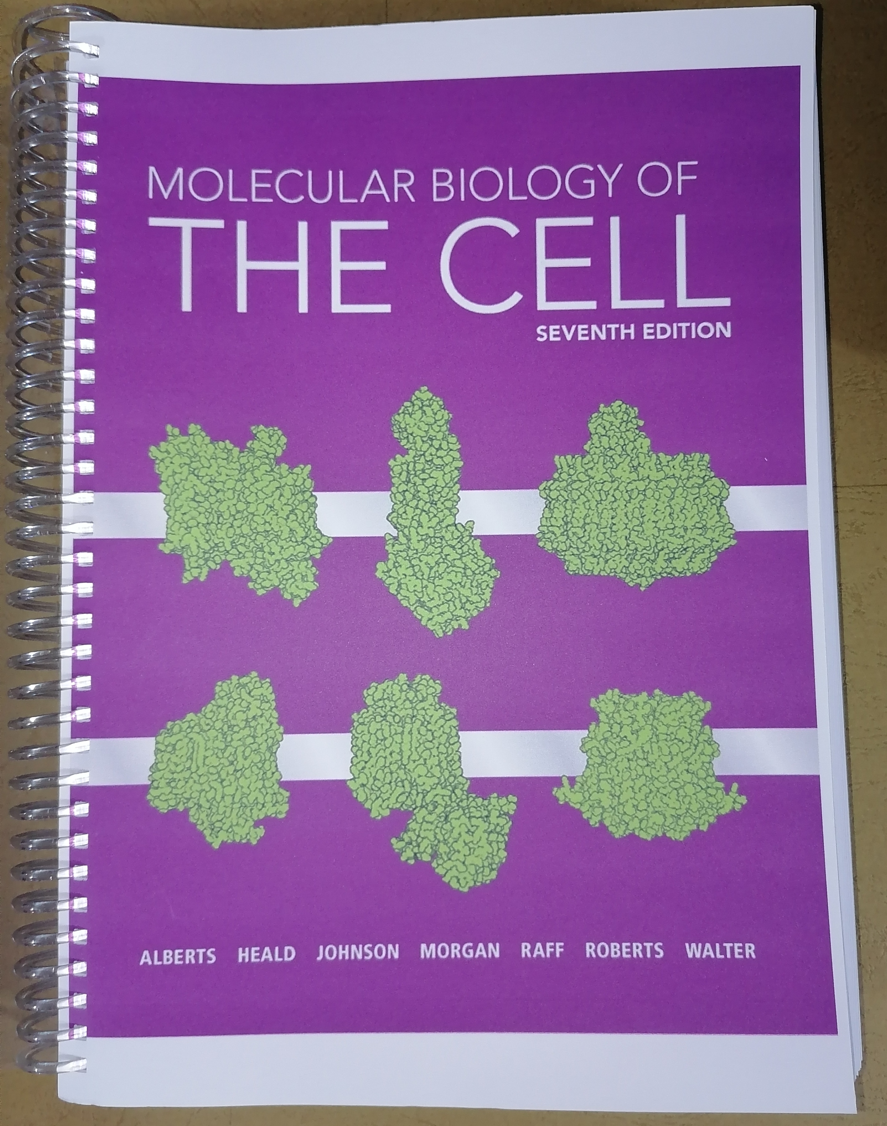 健康・医学 Molecular Biology of the Cell 7th Edit Molecular Biology of the Cell : Alberts, Bruce, Heald, Rebecca