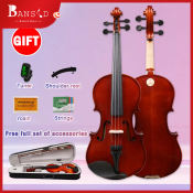 Professional 4/4 Violin Set with Gigbag and Rosin, Basswood