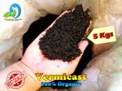 PURE VERMICAST: Enhance Plant Growth for Ornamentals, Veggies, Herbs